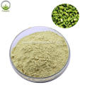 Natural Sophora Japonica Extract Powder 98% Genistein Powder